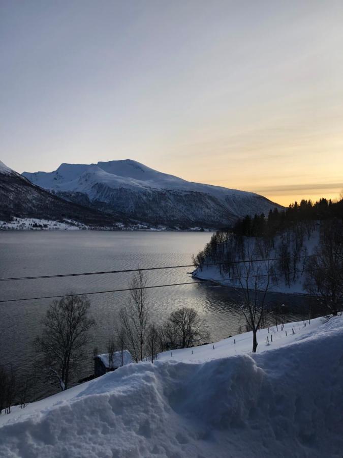 Hundbergan Apartment-Free Parking-15 Min From Tromso Tromsdalen Exterior foto